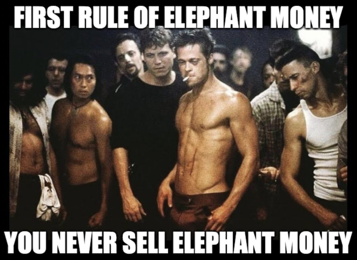 ElephantStatus's tweet photo. 🥊🥊 HODL 💎🤲 https://t.co/ZgtvpCJuJk