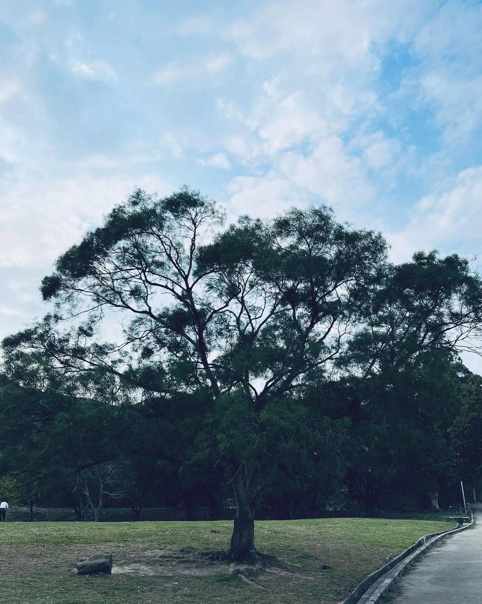 Augustllo's tweet image. It was a great day and another energetic day