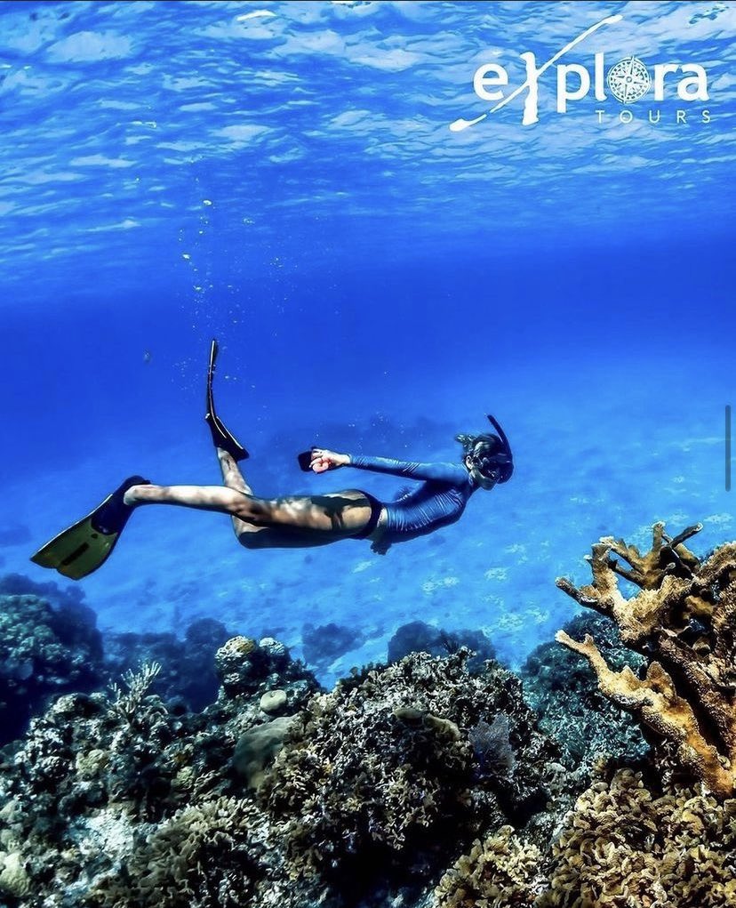 ExploraCaribeMX's tweet photo. 🤿 ¿Cuándo fue la última vez te sumergiste en el paraíso?
#exploratours #goexplora https://t.co/yl5BkGyBiU