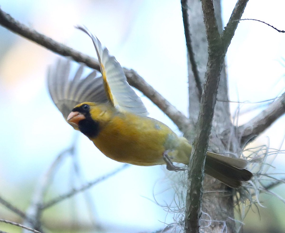 Brad McClenny tweet media