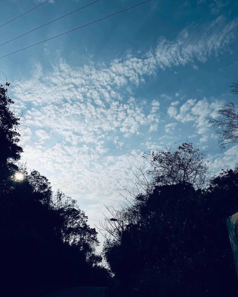 jinniullllh tweet picture