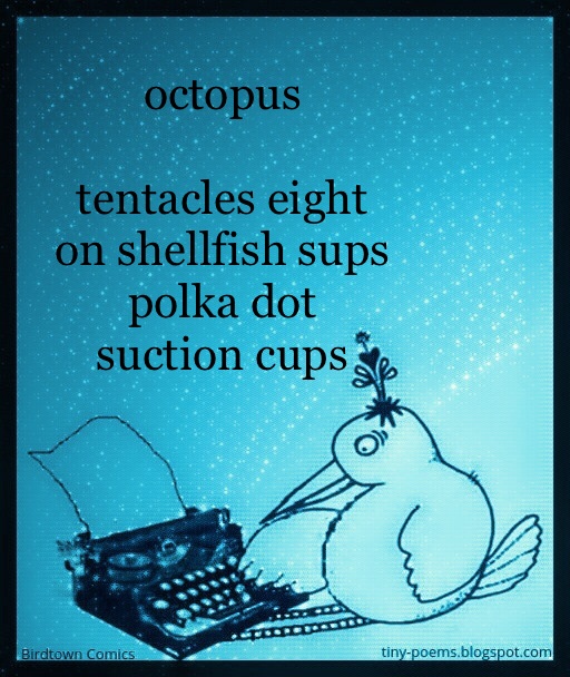 BoxPoem's tweet image. #octopus