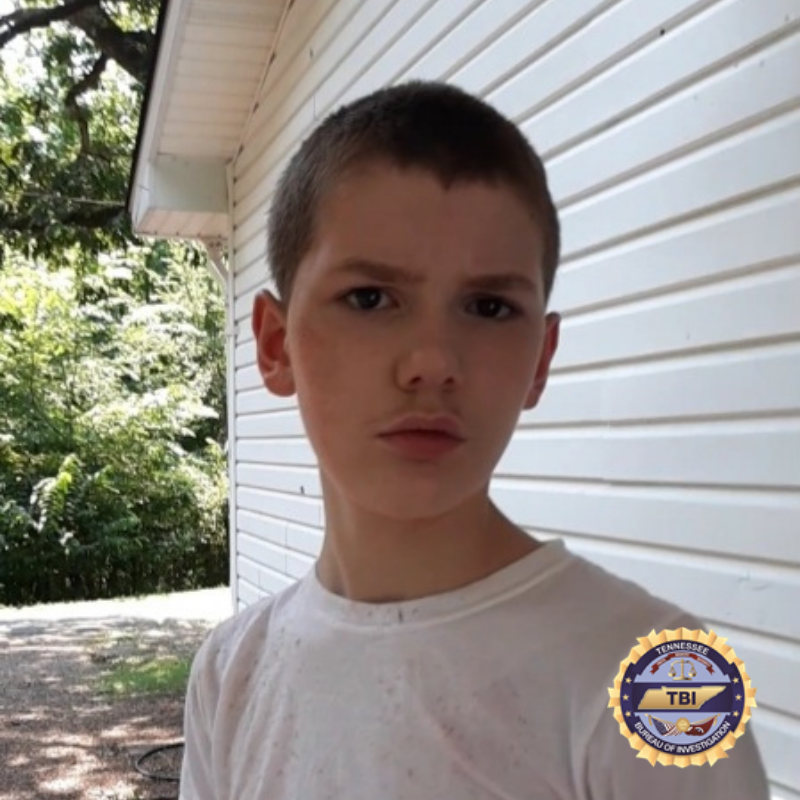 TBInvestigation's tweet photo. An ENDANGERED CHILD ALERT has been issued on behalf of the Carroll Co. SO for 13yo Dylan Blake Feemster-Holloman.

Dylan has a medical condition that may impair his ability to return safely without assistance.

If you have seen Dylan, call 731-986-8947 or 1-800-TBI-FIND. https://t.co/TdCxEfW9LK