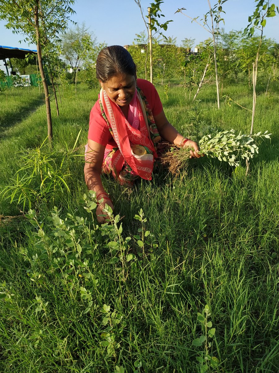 PeepalBaba's tweet photo. A woman, like a majestic Tree, shelters everyone. She nurtures &amp; loves like a tree with roots in the soil of the soul. She adores you in the same way that you adore her!
Happy #InternationalWomensDay2022 to every woman that has been an integral part of our progress
#HCLFoundation https://t.co/w9NDccIEtu
