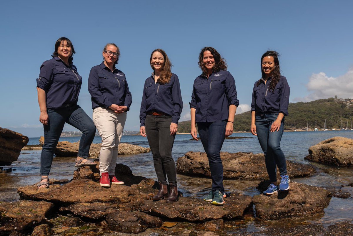 On #InternationalWomensDay we at Living Seawalls hope that we can encourage girls around the world to persue #Science. We are fortunate to have such a strong team of women to lead the way! #BreakTheBias #IWD