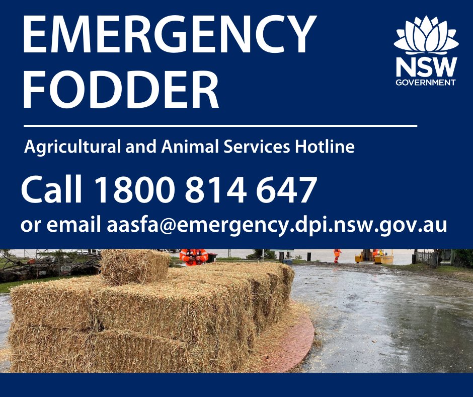 North Coast LLS (@northcoastlls) on Twitter photo If you are unable to make phone calls but can access the internet, landholders can now register for emergency livestock fodder, animal assessments and veterinary advice via a dedicated email - aasfa@emergency.dpi.nsw.gov.au
More information at lls.nsw.gov.au/floods If you are unable to make phone calls but can access the internet, landholders can now register for emergency livestock fodder, animal assessments and veterinary advice via a dedicated email - aasfa@emergency.dpi.nsw.gov.au
More information at lls.nsw.gov.au/floods