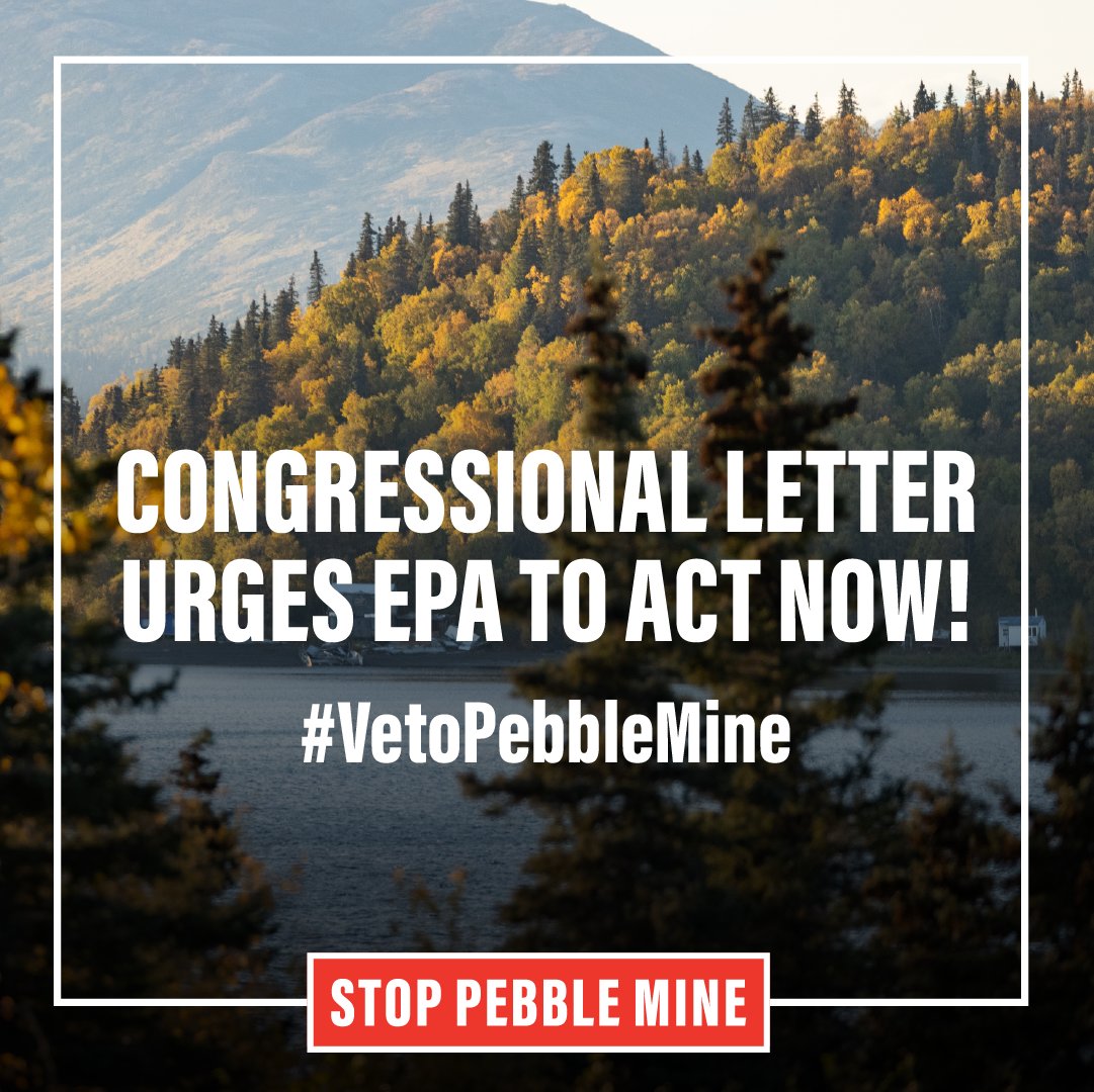 Today, Members of Congress sent a letter to 
<a href="/EPAMichaelRegan/">Michael S. Regan</a> urging the agency to act “as expeditiously as possible and finalize permanent measures to protect Bristol Bay.” 

Read their full letter here: bit.ly/34pKxoi 
#VetoPebbleMine <a href="/RepHuffman/">Rep. Jared Huffman</a> @StopPebbleNow