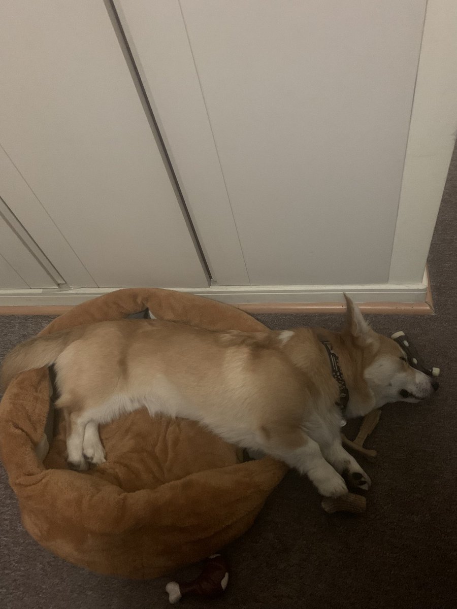 Camila Alvarez tweet media