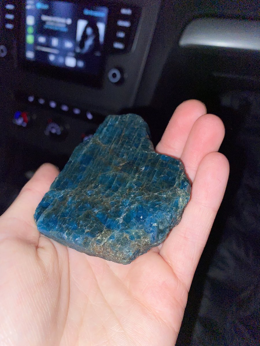 abbwri's tweet photo. thank you crystal alt tik tok girls for telling me what this random rock i found at the beach is https://t.co/w8HFwLF6K0
