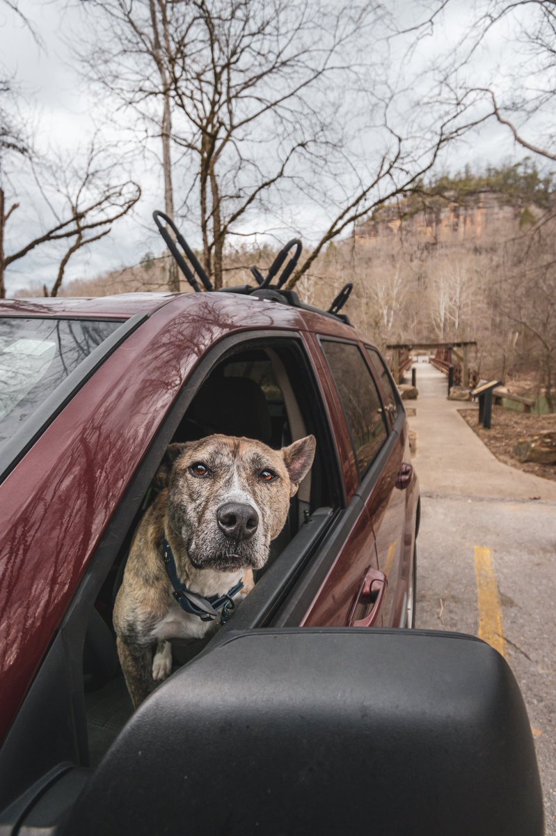 Mahala C tweet media