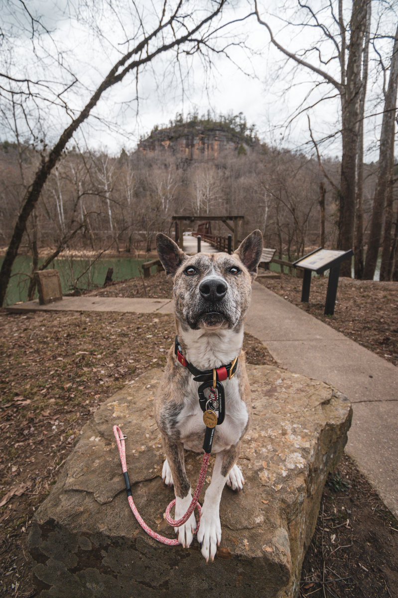 Mahala C tweet media