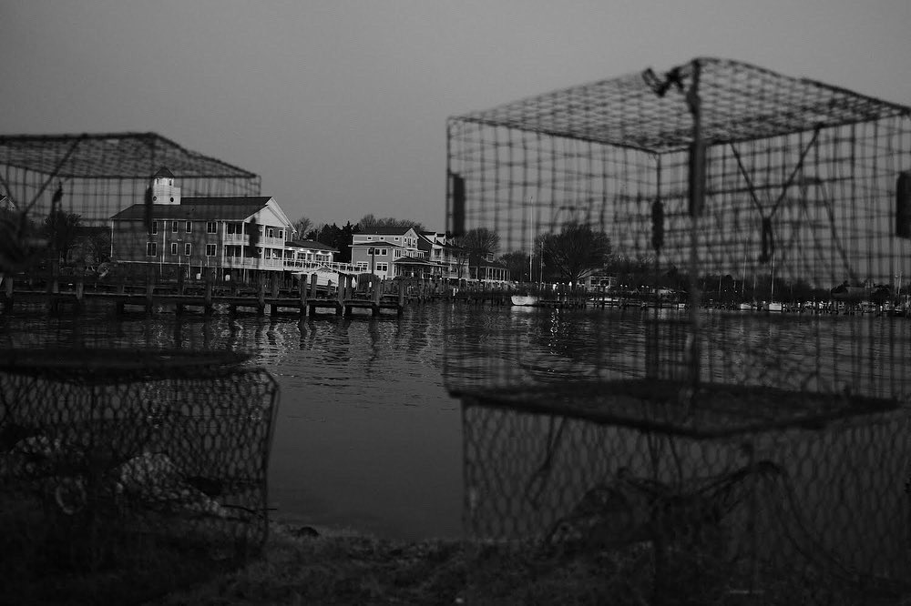 ConceptsDh's tweet photo. Some more shots from this past weekend shooting Monochrome on the #fujix100v @FujifilmX_US #bnwphotography #Monochrome #Maryland #solomonsmd #blackandwhite #outdoors #photowalk https://t.co/73JtMIdgTu