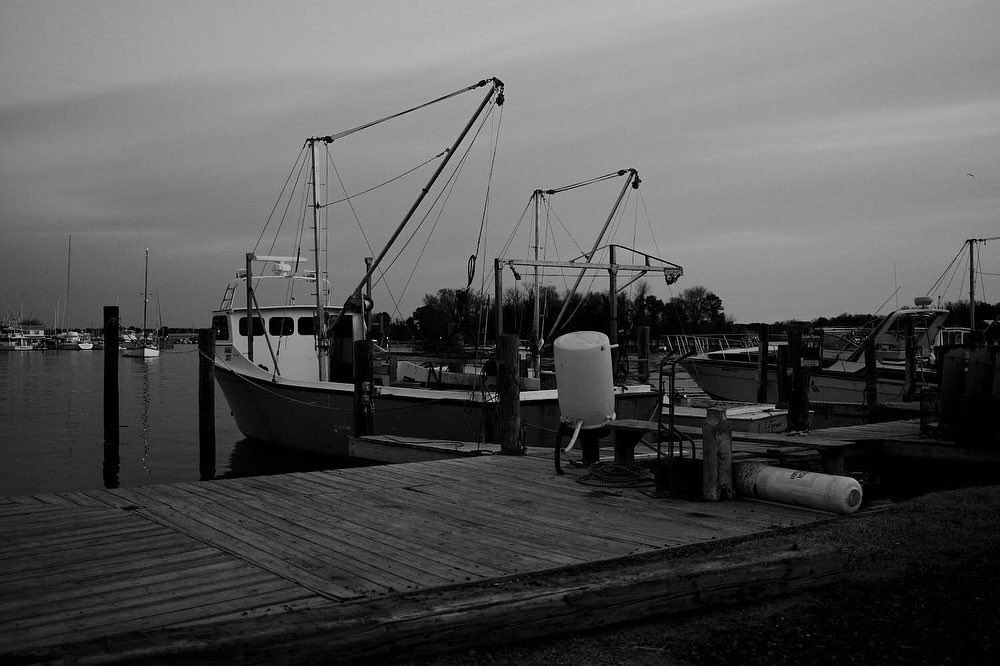 ConceptsDh's tweet photo. Some more shots from this past weekend shooting Monochrome on the #fujix100v @FujifilmX_US #bnwphotography #Monochrome #Maryland #solomonsmd #blackandwhite #outdoors #photowalk https://t.co/73JtMIdgTu