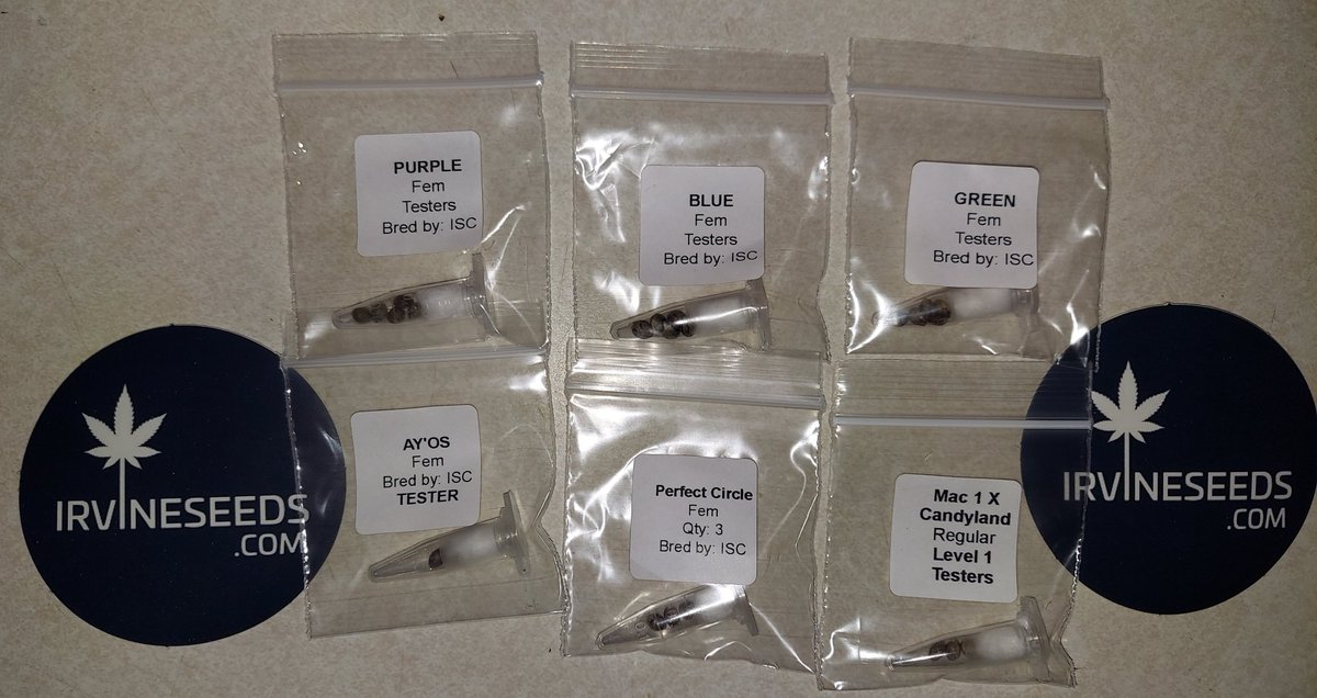 broitsthealiens's tweet image. @irvineseedco Level 3s hit today! Had to grab some perfect circle and a lvl 1 also. Shoutout to @Kstylis on the AY'OS, looking forward to running all these in the next month or so! @doug_hofferman @ColdAzzIsis89 @nmflowergrower @HerbToking 
#irvinearmy 
#growyourown