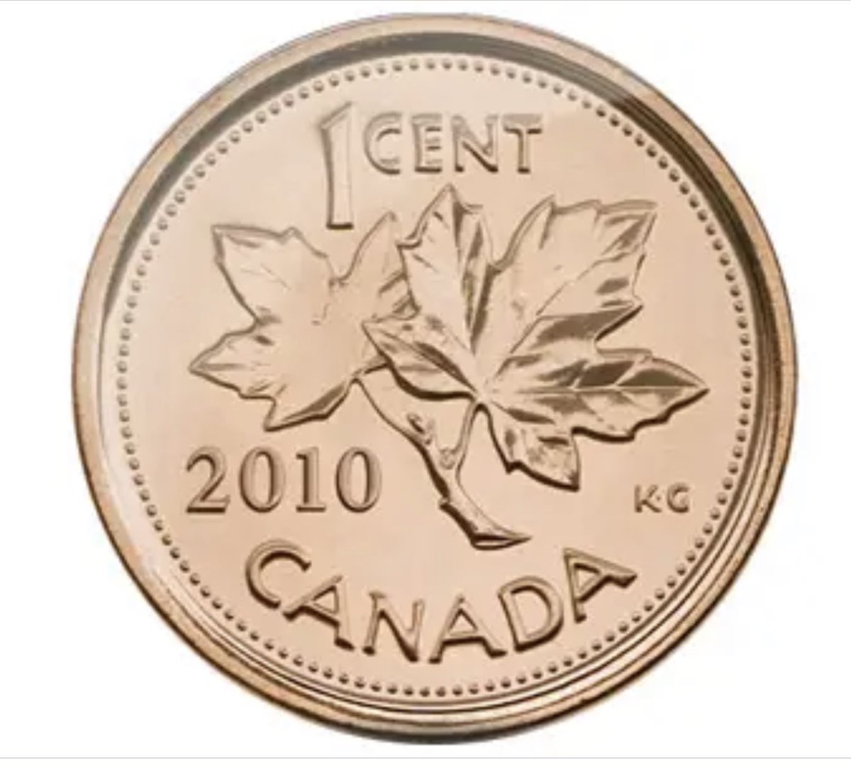 SAAN Store tweet media