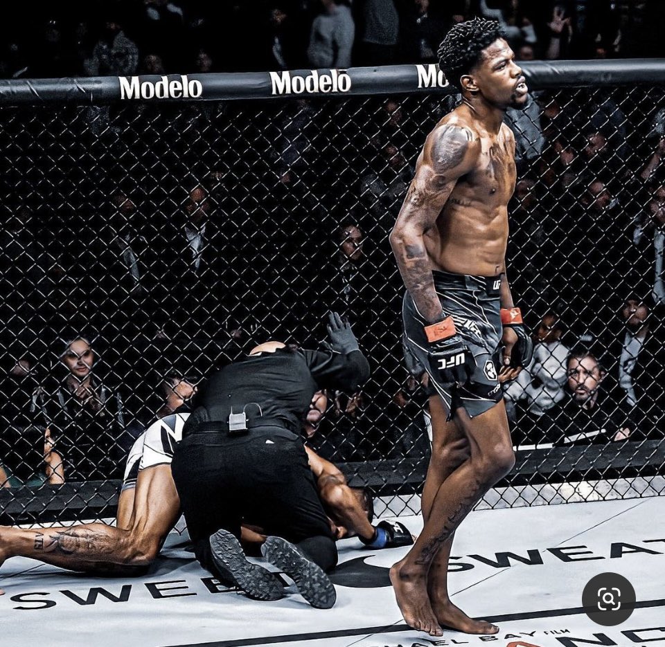 Kevin Holland tweet media