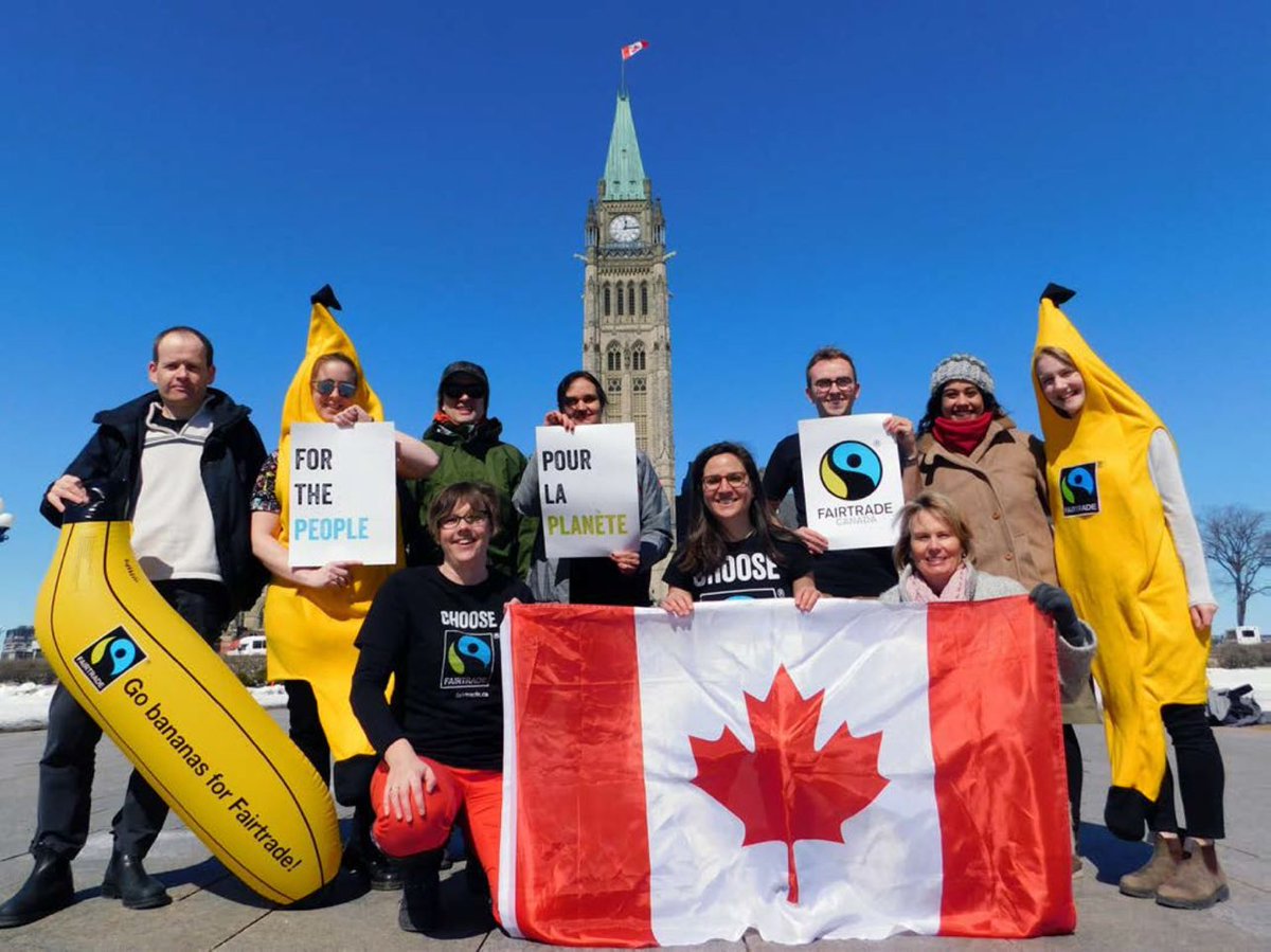 FairtradeCanada's tweet photo. Look at us, don't you want to join our pretty bunch? 

we are #hiring ! 

Looking for our new Team &amp; Office Coordinator; details here:
https://t.co/kmNaTXAPIx

Come be our #team flow guru, the glue that binds us all together! https://t.co/h4z0OneKwe