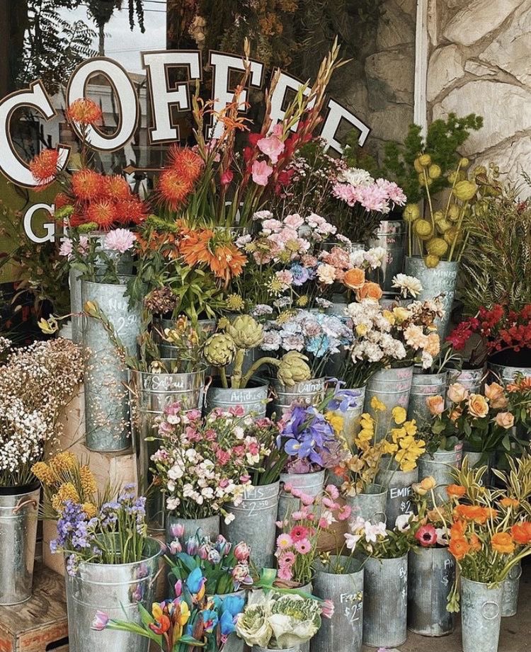 otherworldlynug's tweet photo. — remember, life is short. buy the flowers! https://t.co/MXLjfJiB9S