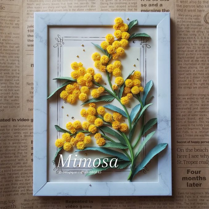 ニシクボサユリ MIMOSA DAY （原画）