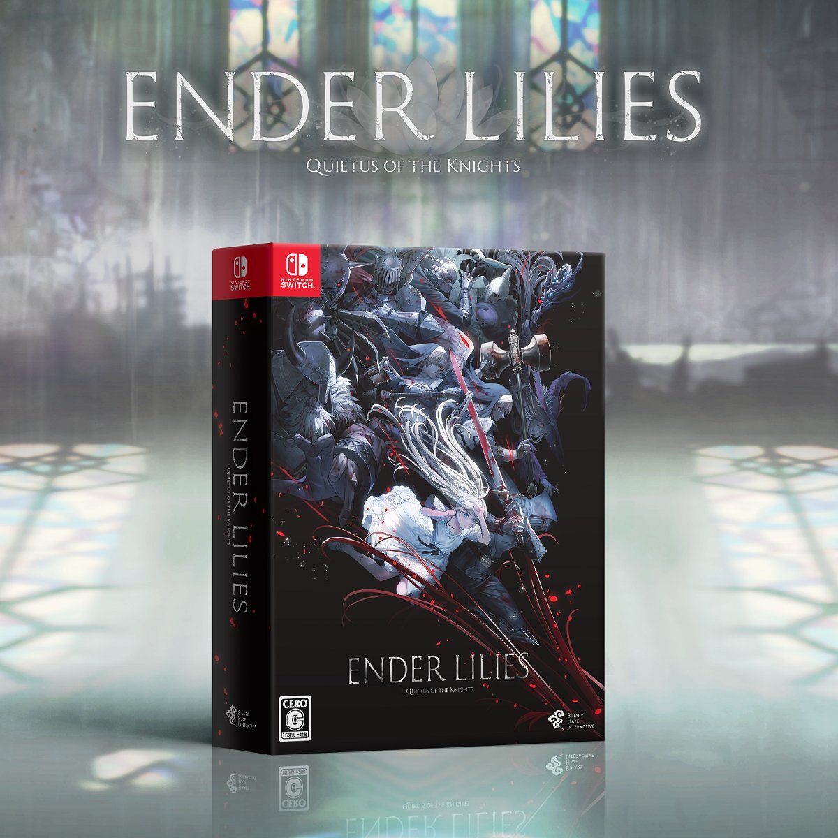 【新品未開封】PS4 ENDER LILIES エンダーリリィズ  数量限定版