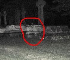 Spirit couple on a bench