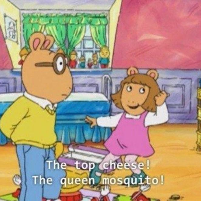 PICTURESTART tweet media