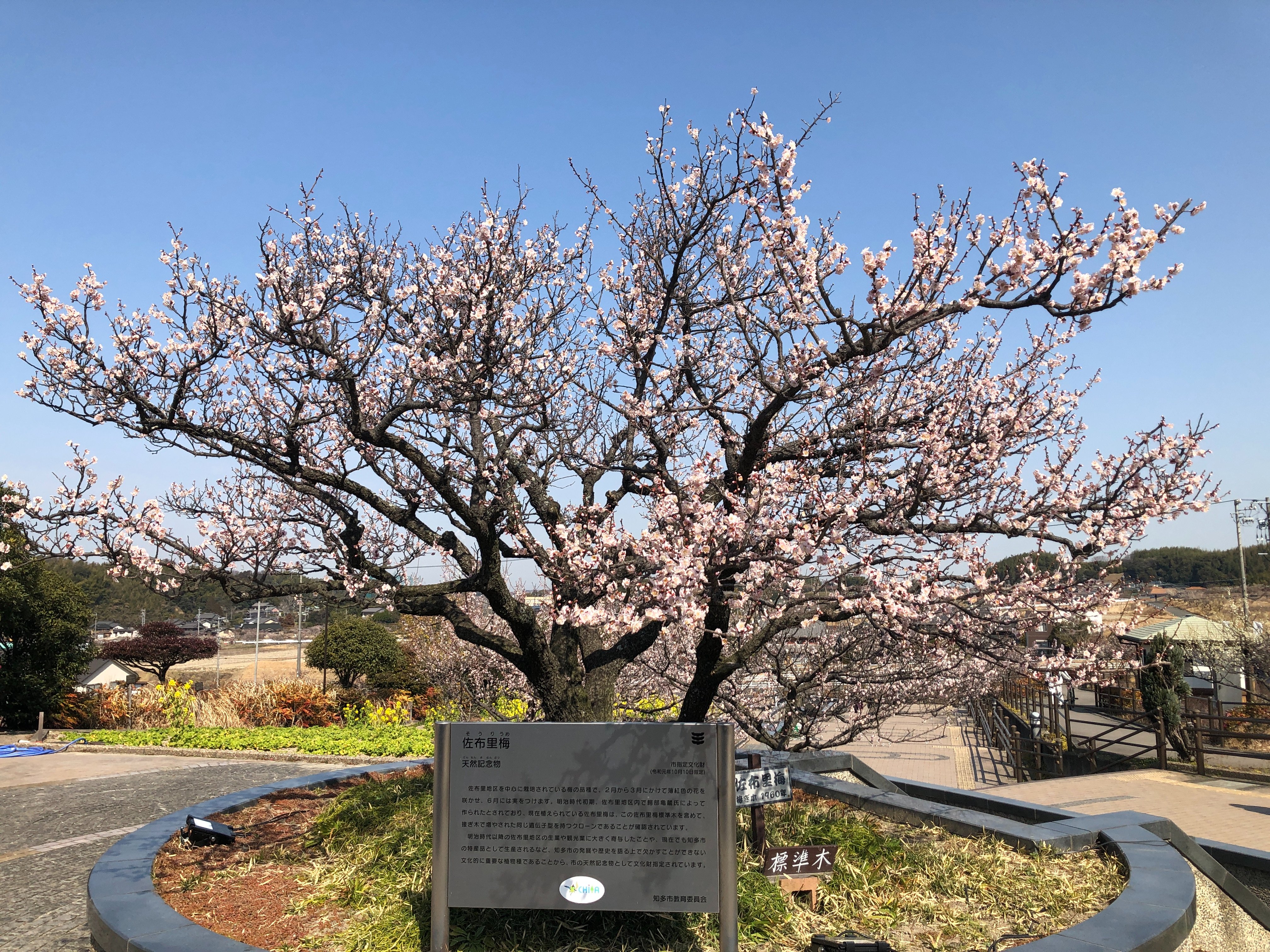 佐布里緑と花のふれあい公園 Sourifureai Twitter