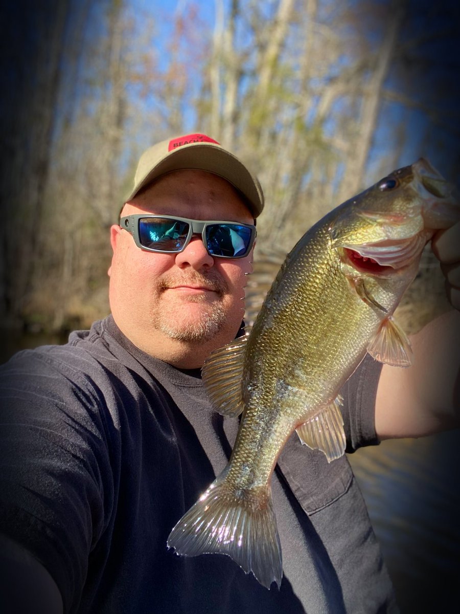 RidinAndFishin's tweet photo. Lil Town Creek Bass today. #springbass #tightlines #ncbassfishing https://t.co/oCjtTQ43zI