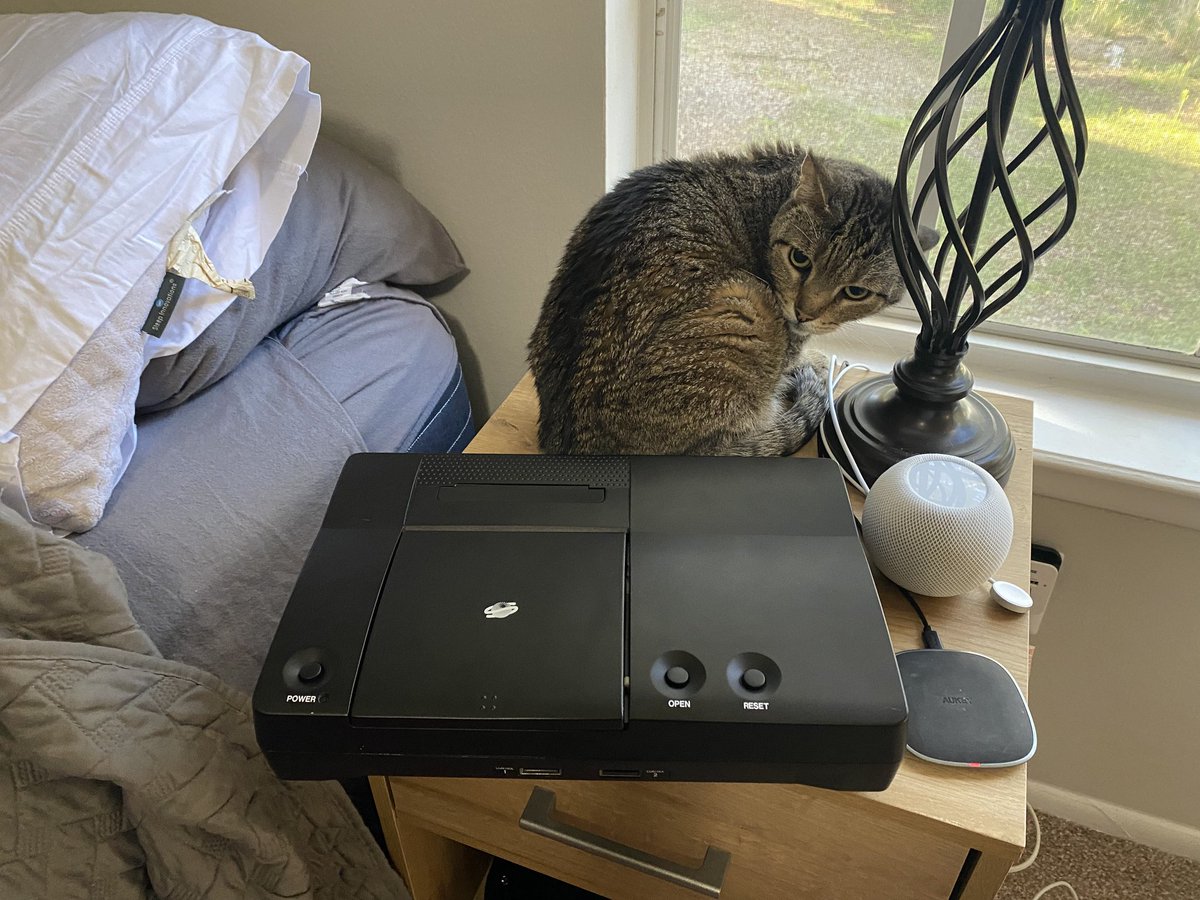 Adam Koralik tweet media