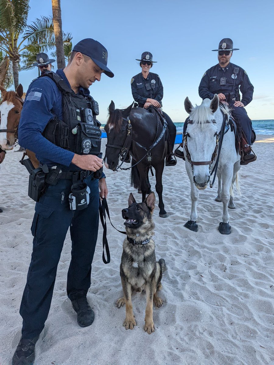 ftlauderdalepd's tweet photo. #FLPD First weekend of Spring Break 2022 ✅

K9 Mork and his #FLPDMounted Unit friends report no major issues from the beach this weekend!

#BuildingCommunity #SpringBreak2022 
#FortLauderdaleBeach https://t.co/IlYdXpdNno
