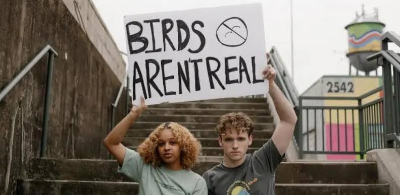 YoshiRGS's tweet photo. @MissaSinfonia Claro son drones creados por los gobiernos para vigilarnos y controlarnos. #BirdsArentReal https://t.co/wRhWre2t6E