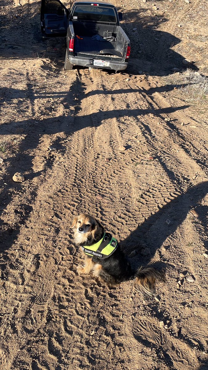 Graychik's tweet image. Desert Recovery: #Hesperia (22-19) Off-roaders found out the 4 wheel drive won’t engage and ended up in a situation...  Me and #Harlie got them unstuck and back on the trail! Alway free! #OffRoadRecovery #PayingItForward #Unstuck