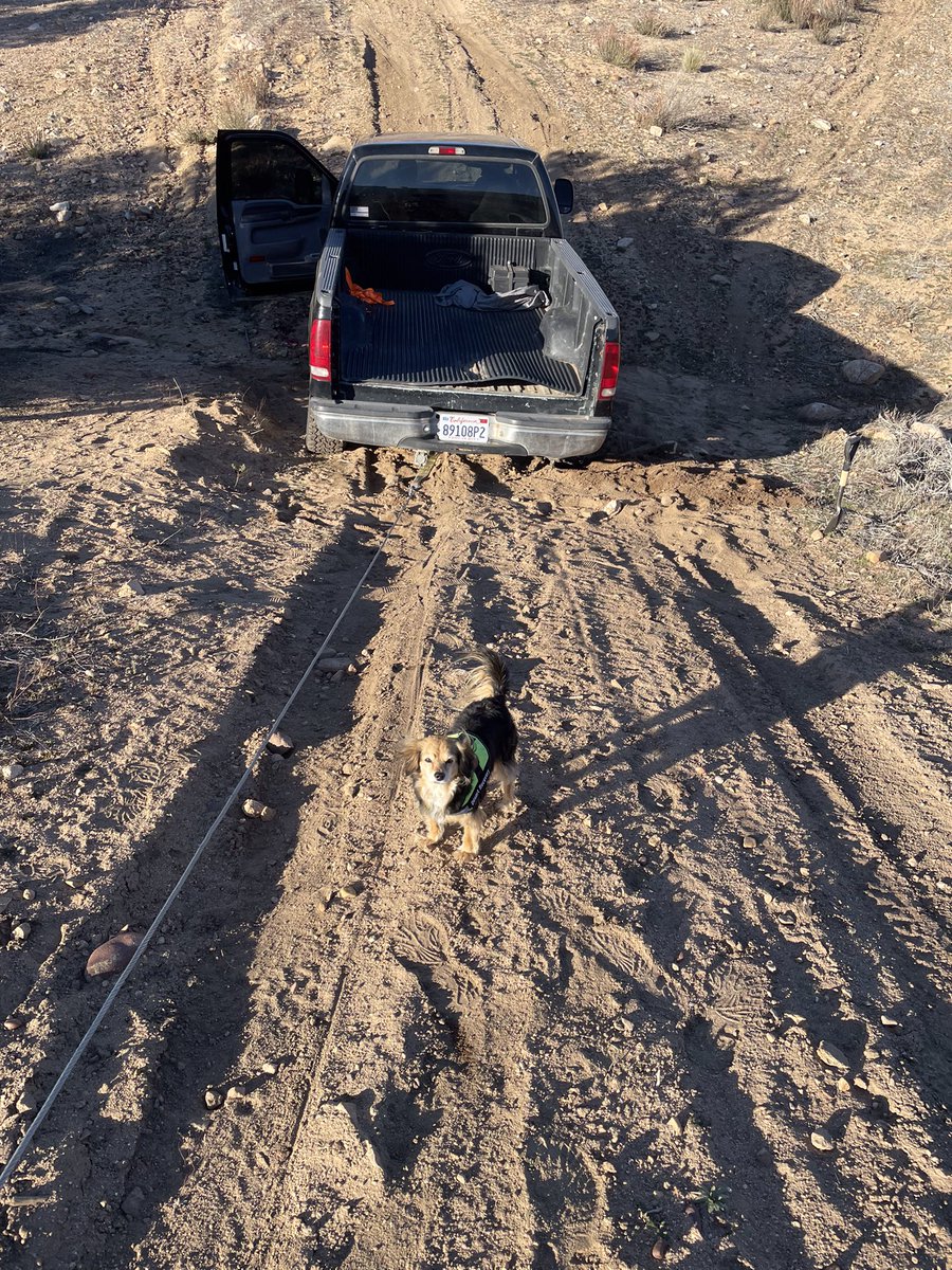 Graychik's tweet image. Desert Recovery: #Hesperia (22-19) Off-roaders found out the 4 wheel drive won’t engage and ended up in a situation...  Me and #Harlie got them unstuck and back on the trail! Alway free! #OffRoadRecovery #PayingItForward #Unstuck