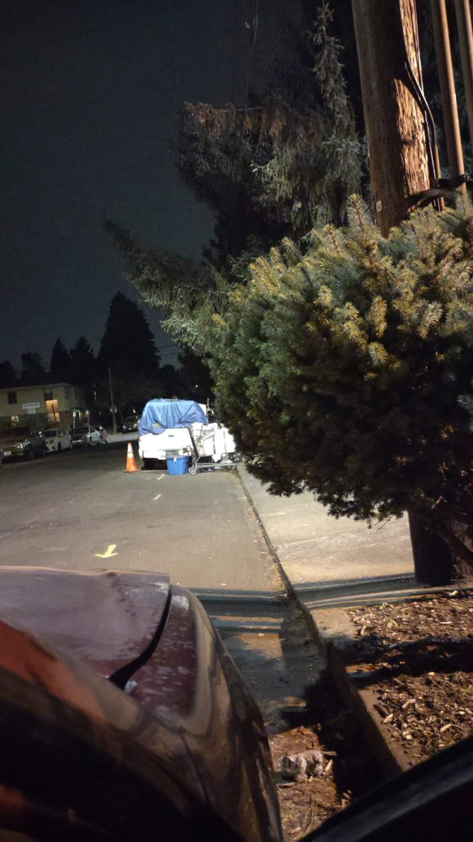 Witchbrew Spice. (@dee22912435) on Twitter photo 