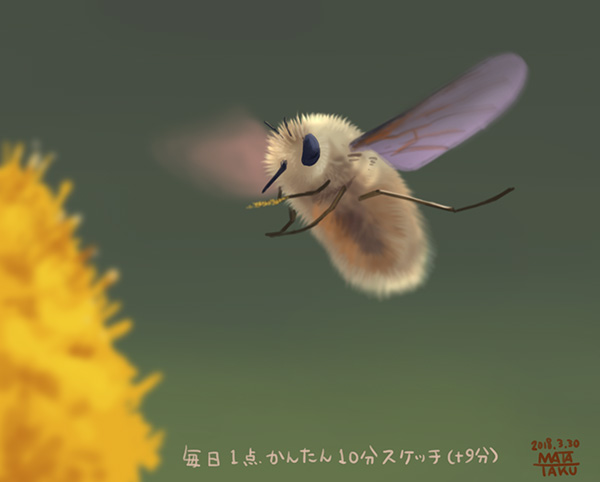 Twitter 上的 瞬く 絵のお仕事募集中 今日はミツバチの日なので以前10分スケッチで描いたミツバチ貼っときますね ついでに同じような仲間なのでトラマルハナバチとクマバチ あとハチじゃなくてアブだけどもふもふで可愛いからトラツリアブも貼っときますね 10