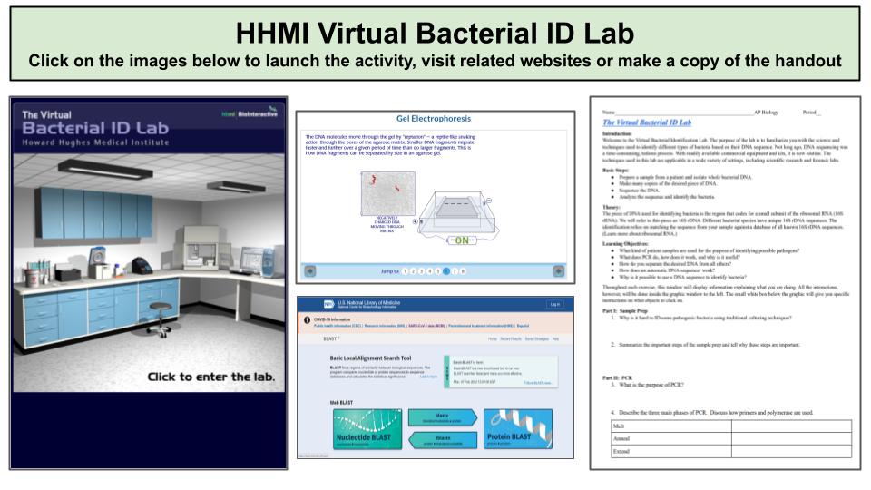 mrpauller's tweet photo. Our transformation kit shipment was delayed😢, so we are using the @BIOINTERACTIVE Virtual Bacterial ID lab which covers PCR, sequencing and bioinformatics. We are getting a little help from @DNALC's gel electrophoresis animation. #iteachbio #iteachapbio https://t.co/UP3PUAD5R3