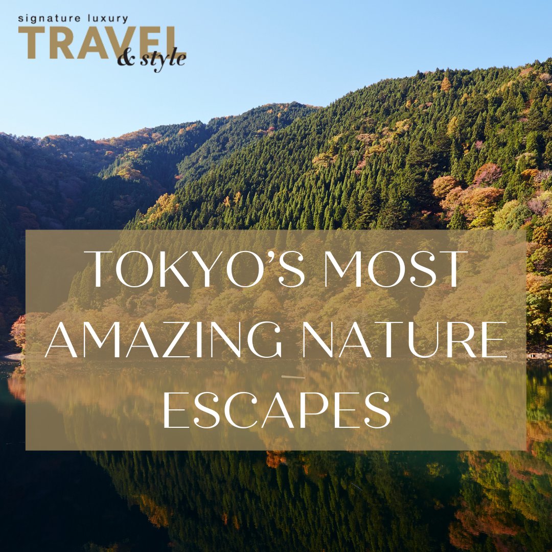 Tokyo may be the largest city in the world, but this metropolis is remarkably green. Here’s how to enjoy nature in Tokyo, whether hiking and kayaking or forest bathing. 
signatureluxurytravel.com.au/nature-in-tokyo