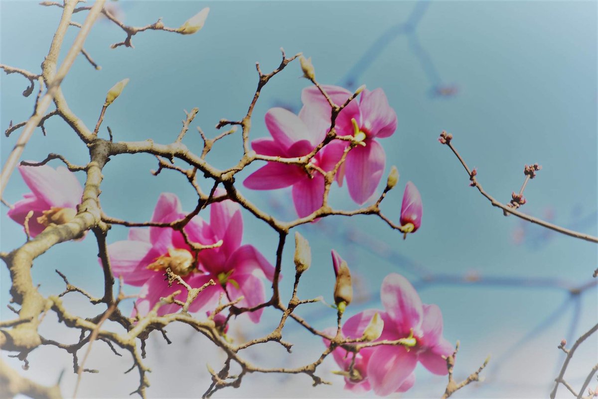 Studio B Artistic Photography (@studiobartistic) on Twitter photo 