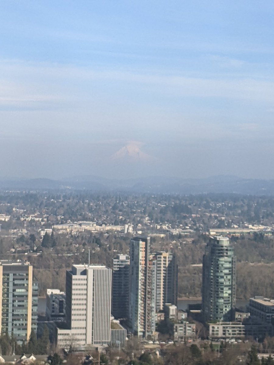 POCUS on the brain. Are those clouds in front of Mt. Hood or is the wall filter too high? <a href="/Sono4Pyro/">Kevin Piro</a> <a href="/DRsonosRD/">Renee Dversdal</a> <a href="/POCUSaurusDx/">P Musgrave</a> @medpedspocus    #pulsewavedoppler #nerdalert
