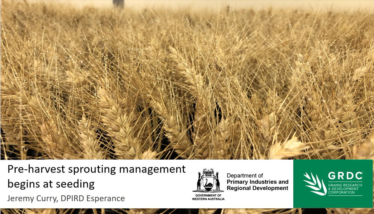 Jeremy Curry tweet media