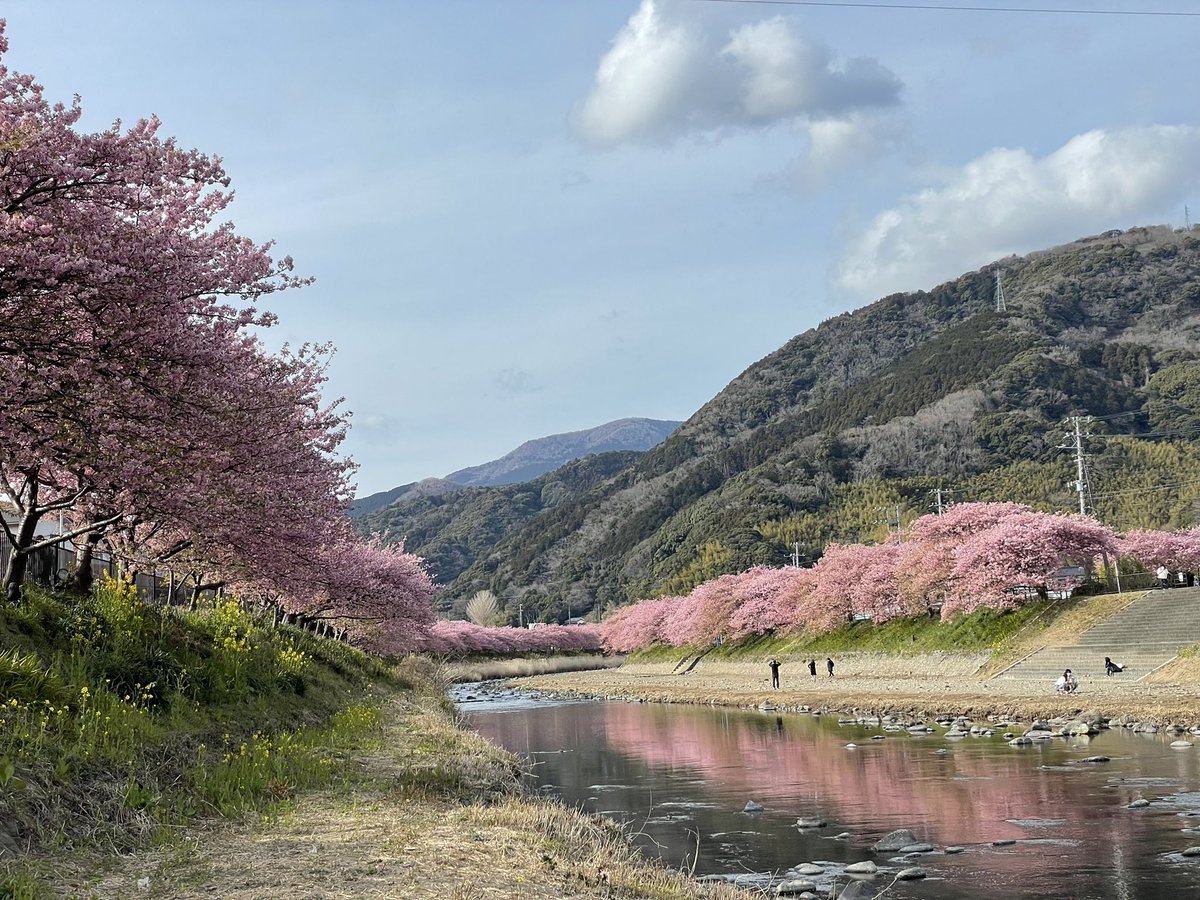 花光雅丸 まろ Bexburgermaro Twitter