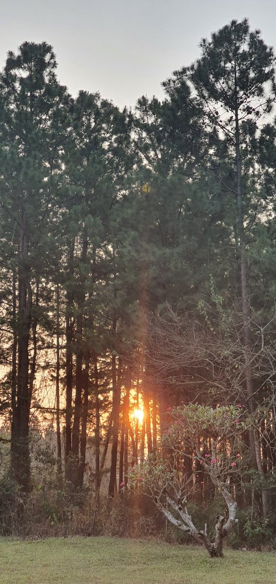 BBatwooki's tweet photo. #Karongo #sunrise https://t.co/AdwlCp88mt