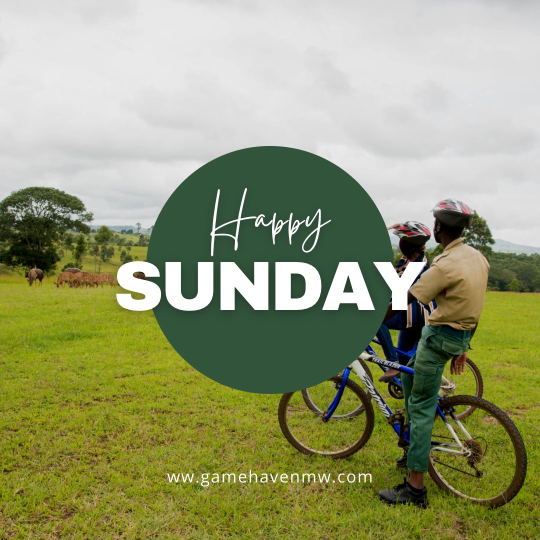 Explore the great outdoors!
#gamehavenlodge #activities #thegreatoutdoors #active #weekends #funwiththefamily #Malawi #getoutofthecity #gamepark #wildlife #noplacelikeit #Bvumbwe