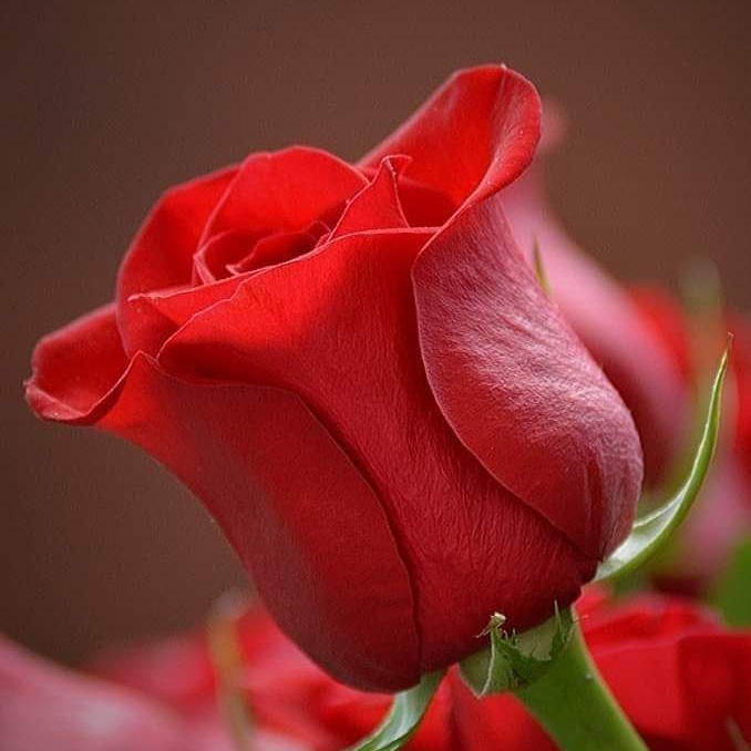 On the occasion of Women's Day, I congratulate every woman with me here