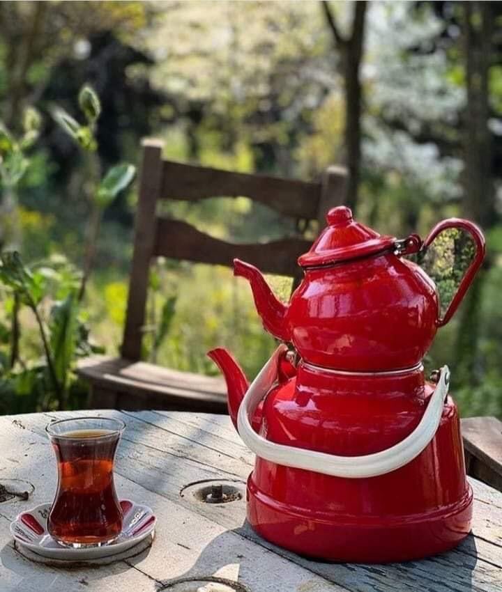ijen1971_'s tweet photo. @birbendogruyum Günaydın https://t.co/XPxWWjeFVz