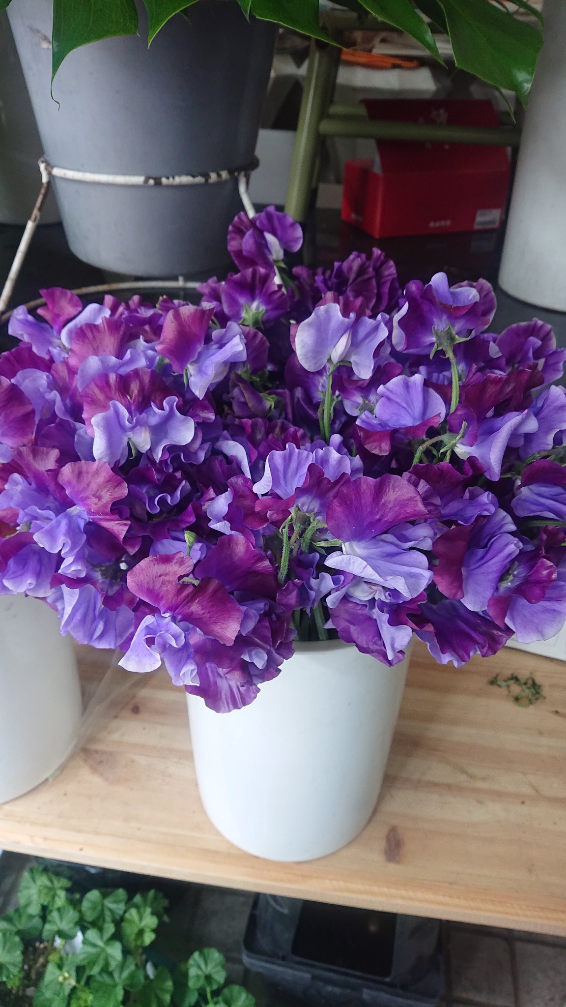 フラワーショップシンドー Yoko4lovedct Twitter