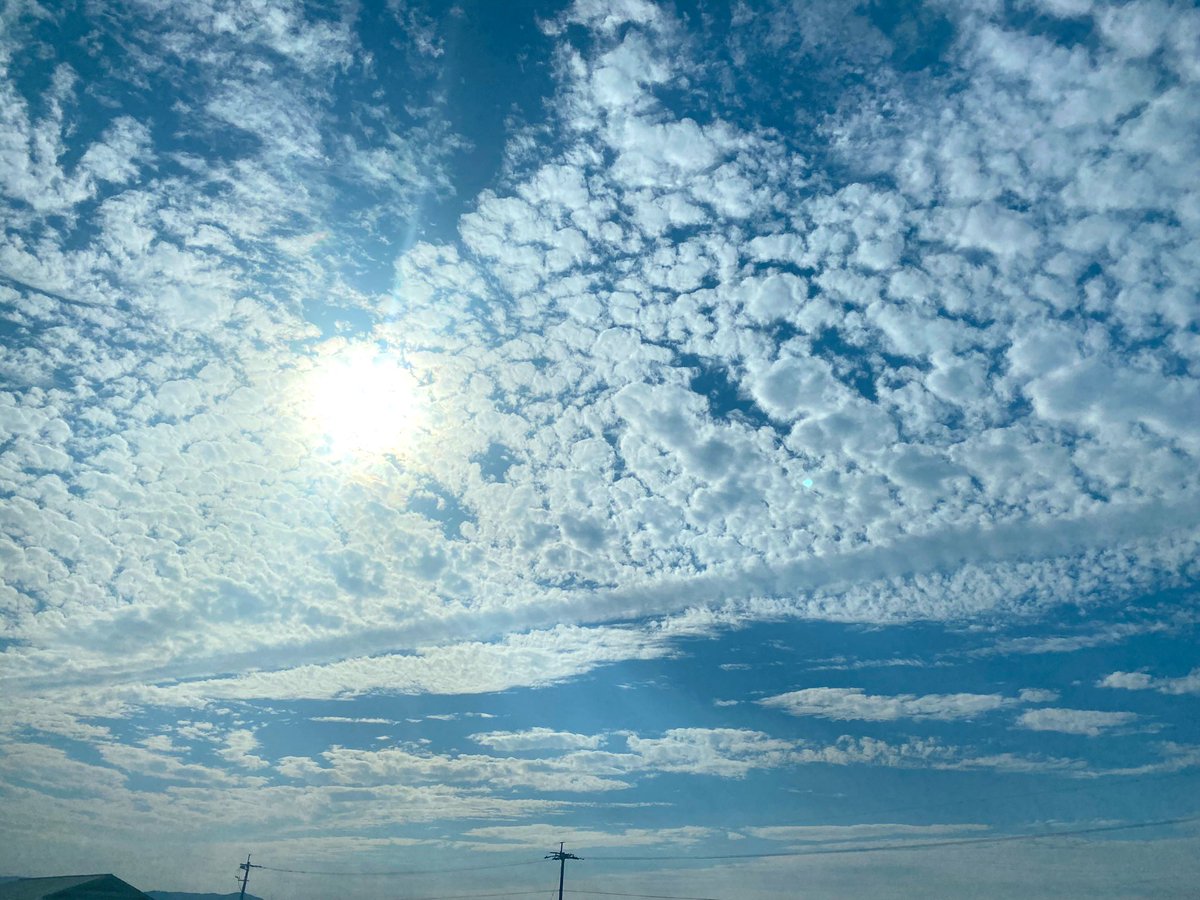 なーんかきれい