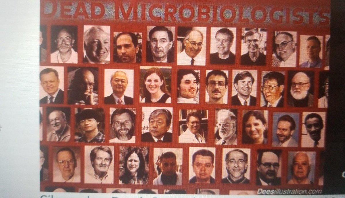Veliacar35's tweet photo. FOTO KOLAJINDA OLAN HER DOKTOR OLDURULMUS!!! HEPSI NEDEN BÜYÜK İLAÇ SIRKETLERI
YUKARIDAKİ TÜM DOKTORLAR NEYI KESFETTIDE OLDURDULER
NAGAL ENZİM PROTEİNİ
AŞILARA EKLENDİGINI OGRENDILER NAGAL ENZİMİ
D VİTAMİNİ OLMAKTAN
VÜCUTTA ÜRETMESINI ENGELLER!
KANSER HÜCRELERİ OLUŞTURUR!#Eppi https://t.co/XIZ2G7JDOC