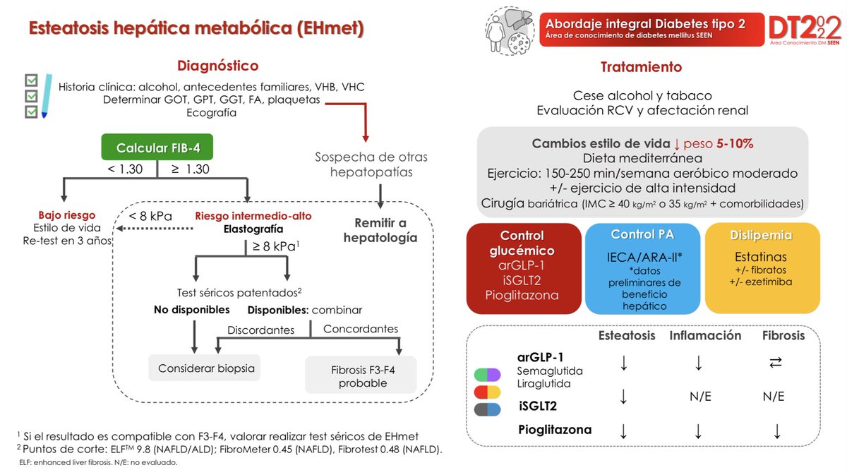 Área Diabetes SEEN tweet media
