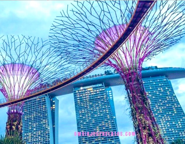 Sabías que SINGAPUR es un destino abierto ya al turismo?: No te pierdas nuestra guía con los lugares más alucinantes para visitar en #Singapur en 2 o 3 días 👉 omviajesyrelatos.com/que-ver-en-sin…